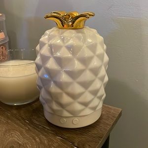 oil Defuser plus Oils